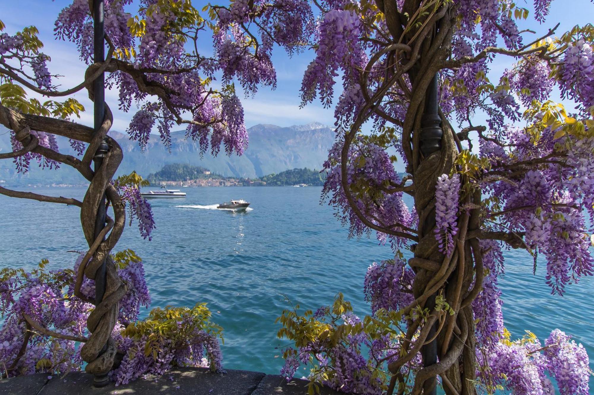 Menaggio Palphi Daire Dış mekan fotoğraf